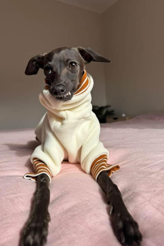 Custom Luxe Fleece