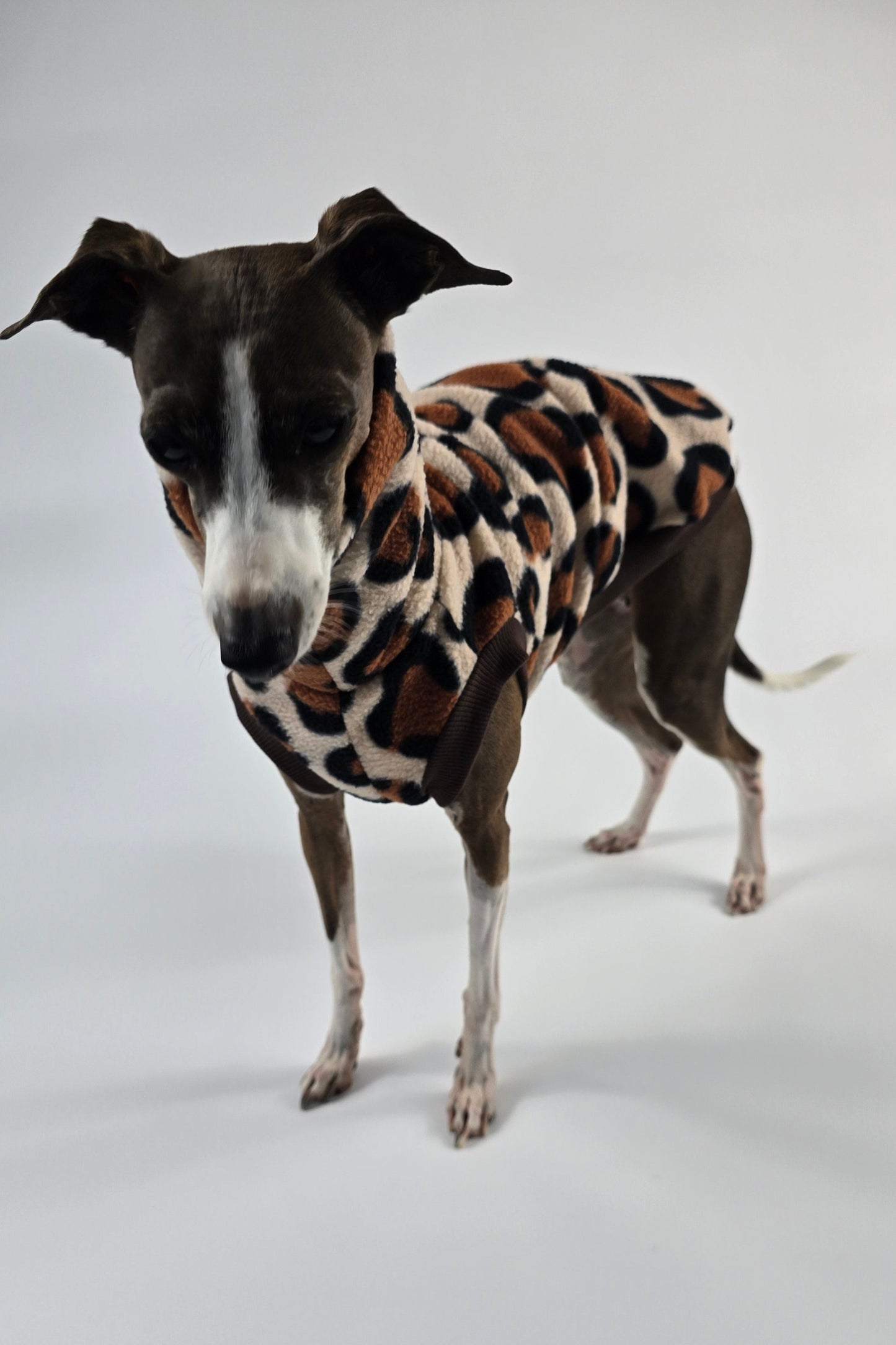 Safari Vest - Long Neck