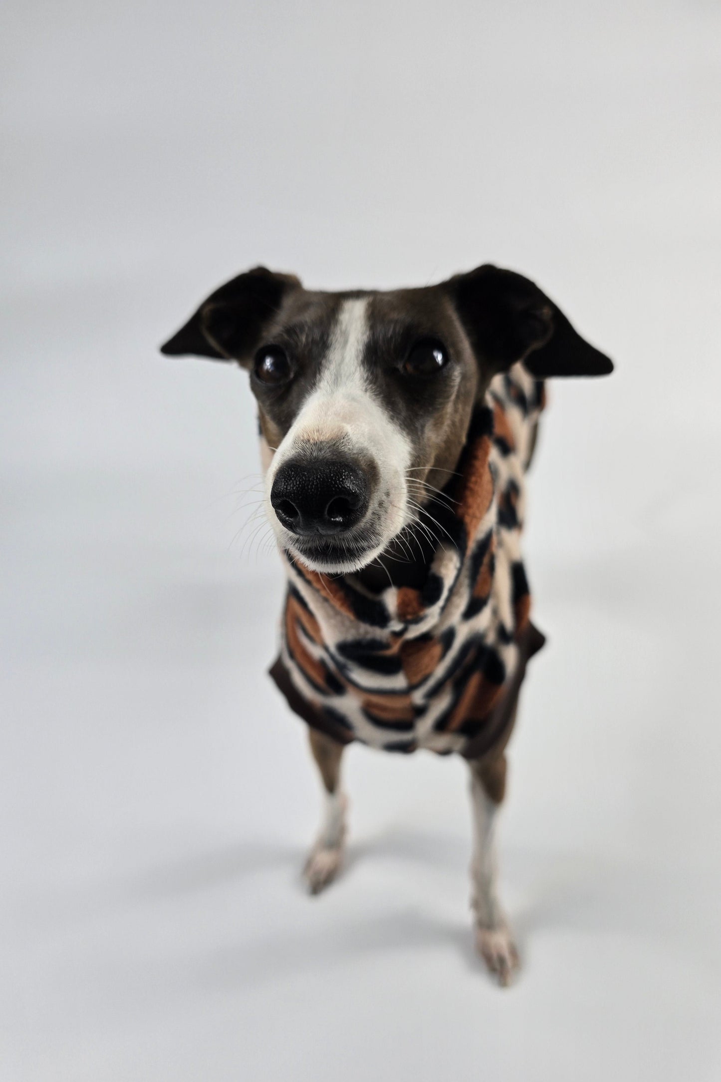Safari Vest - Long Neck