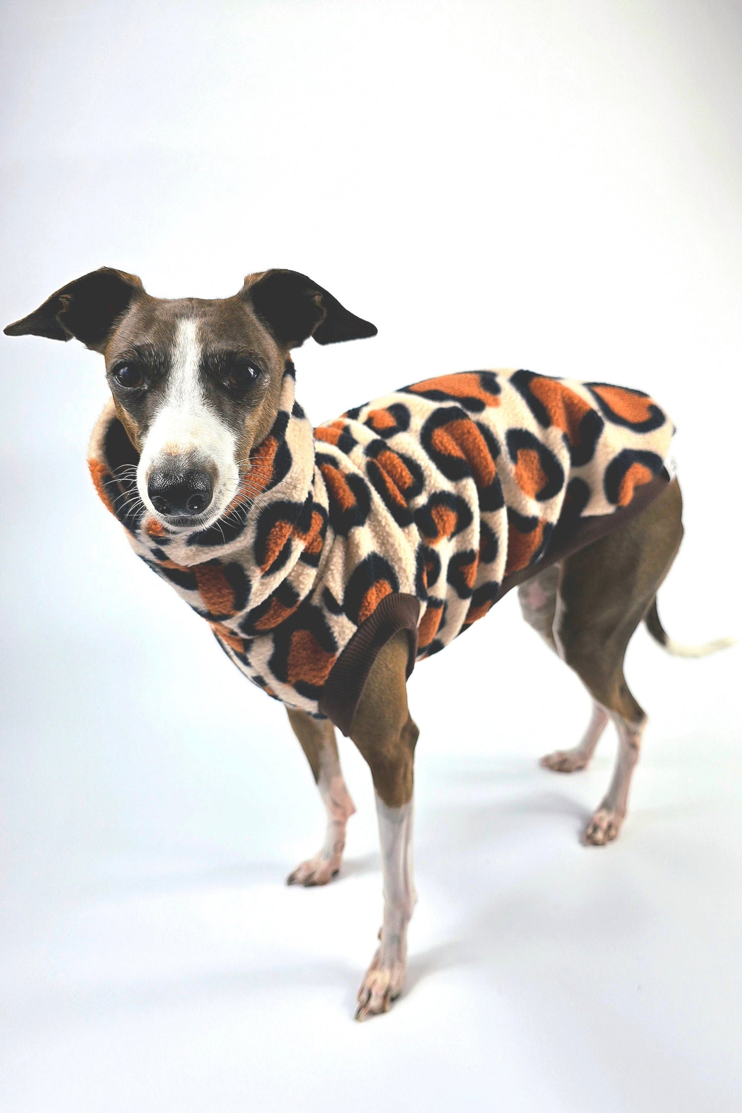 Safari Vest - Long Neck